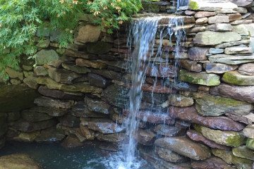 Pond Installation